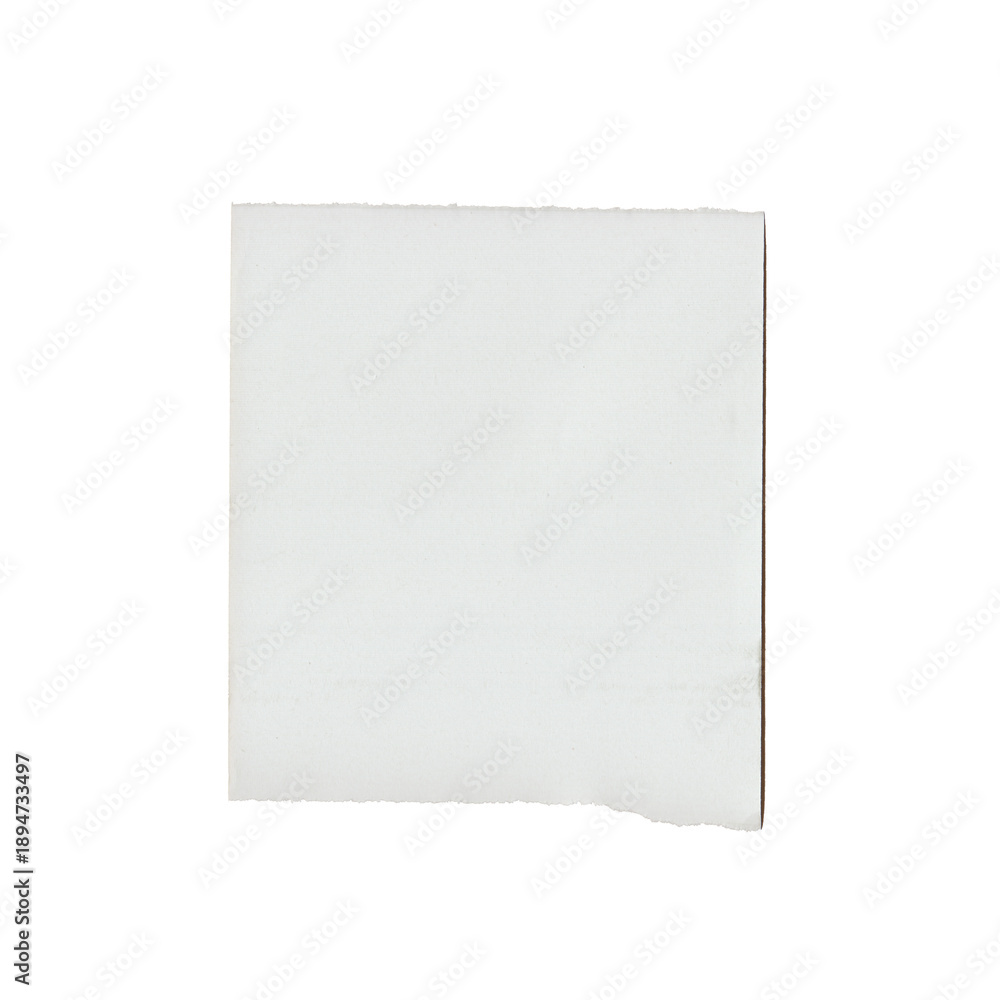 Fototapeta premium Blank White Memo Paper with a Torn Edge