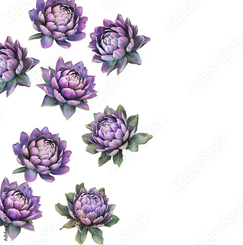 Multiple purple-pink blooming flowers with green leaves isolated on white background, botanical floral pattern concept