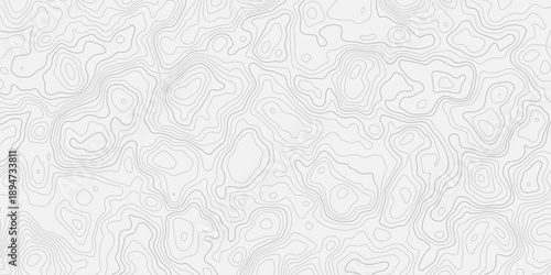 Black and White Topographic Landscape Illustration with Depth
Detailed terrain elevation contour lines inspired by antique geographic maps