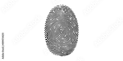 A detailed black whorl fingerprint pattern on a clean white background for identity verification isolated on white background, Vector, illustration