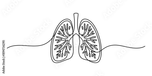 Minimalist continuous line art of human lungs Vector, illustration