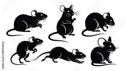 Six black rats in various poses Vector