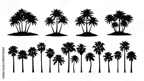 Collection of palm tree silhouettes Vector