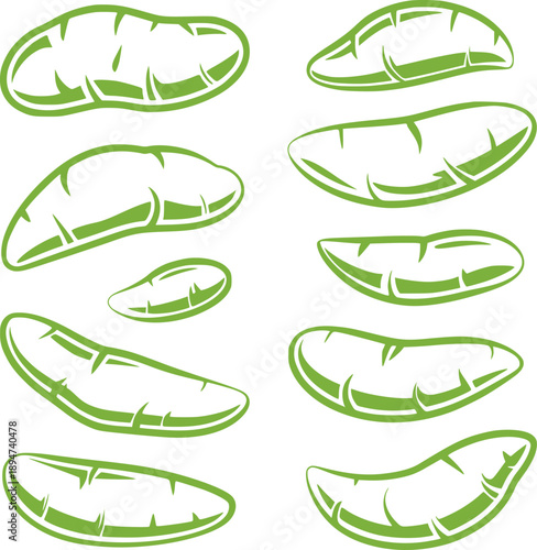 Collection of green bean pods in simple line style vegetable food
