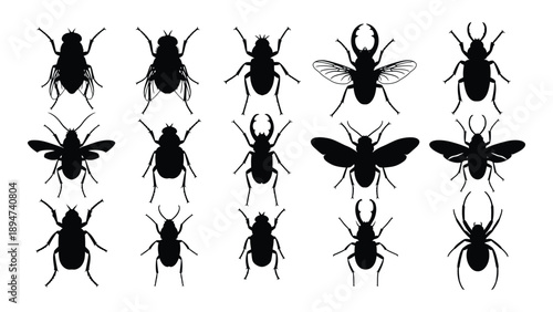 Collection of insect silhouettes Vector