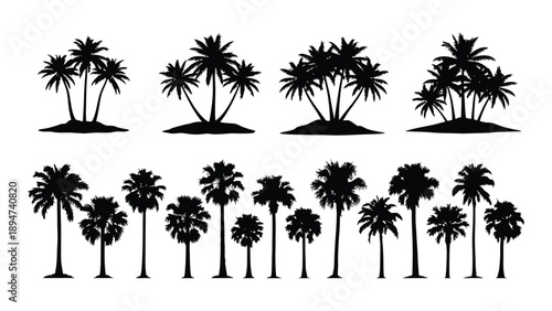 Collection of palm tree silhouettes Vector