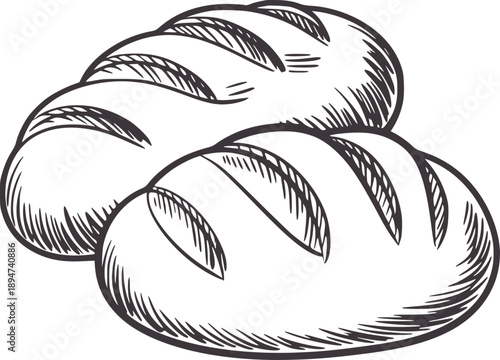 Hand drawn of two loaves of bread with scored tops loaf food bakery baked