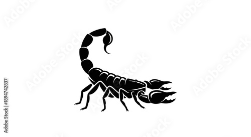 Black silhouette of a scorpion with raised tail on white background