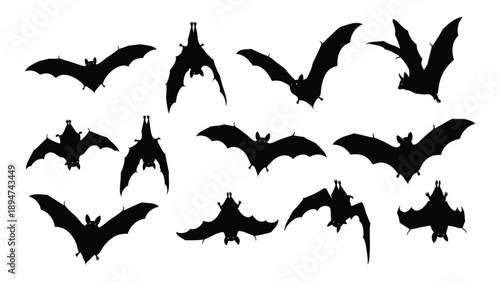 Flying bats silhouettes Vector