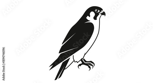 Black and white illustration of a perched falcon against a clean white background.