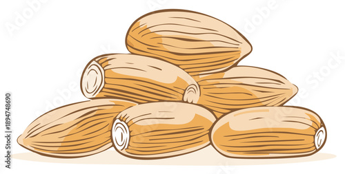 Wallpaper Mural Pile of Almonds Illustration with Hand Drawn Style Torontodigital.ca