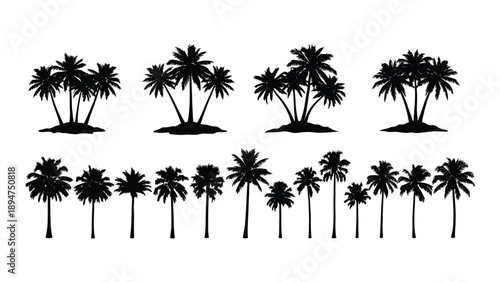 Collection of palm tree silhouettes Vector