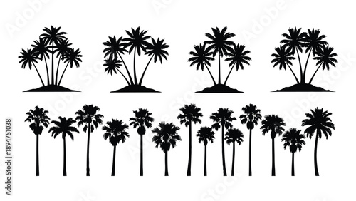 Collection of palm tree silhouettes Vector
