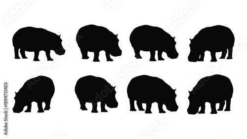 Eight silhouettes of hippos Vector