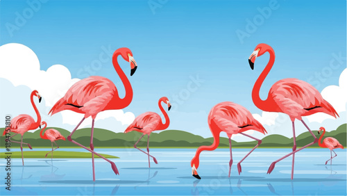 Flock of pink flamingos wading in shallow blue water, grassy shore, hills, blue sky