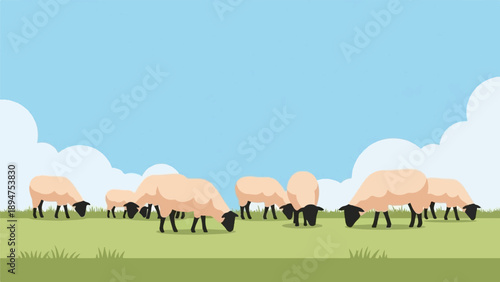 Flock of sheep grazing peacefully in a green meadow under a blue sky