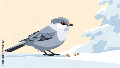 Gray bird on snow with nuts near a snow-covered tree