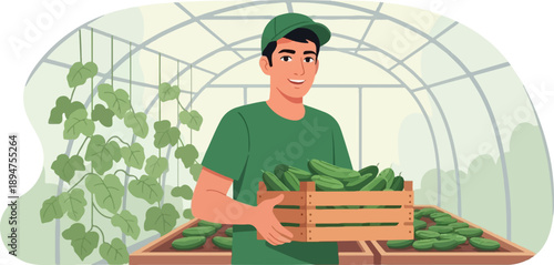 Gardener holding crate of cucumbers in greenhouse