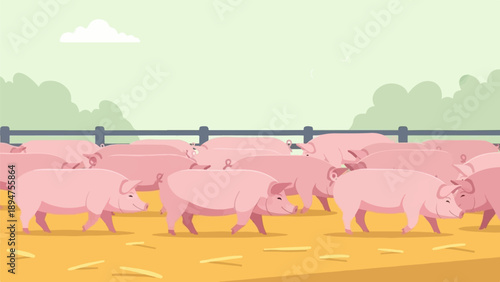 Group of pink pigs walking in a farm pen with straw and fence