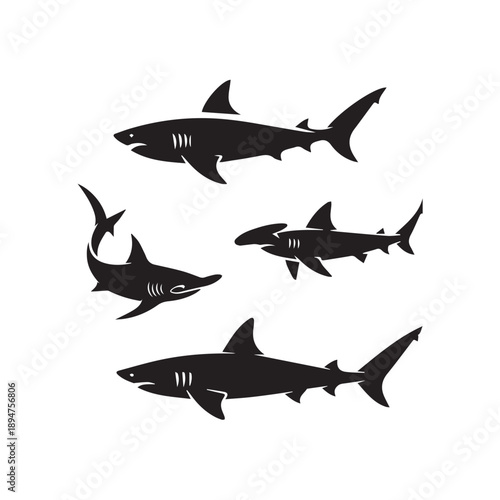 Set of minimalist shark silhouettes and hammerhead shark vector icons isolated on white