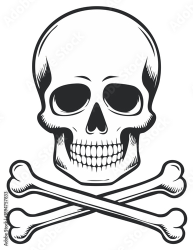 Vector Skull and Crossbones Symbol, Danger or Death Illustration, Isolated Artwork
