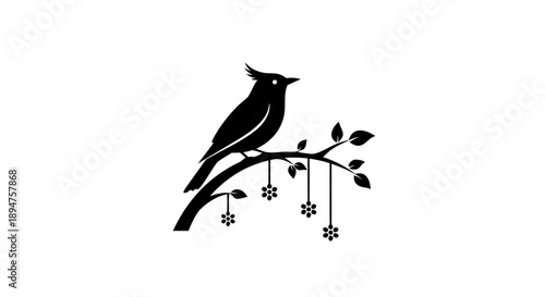 Vector illustration of a black bird silhouette perched on a winter tree branch featuring a detailed beak and wing design for wildlife nature art