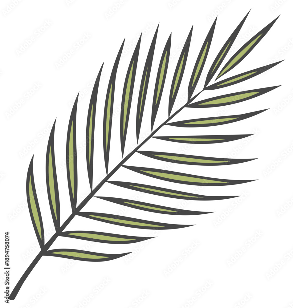 Fototapeta premium Stylized palm leaf illustration. Decorative botanical element for design.