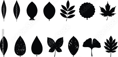 Set of diverse leaf illustrations, graphic vector icons with unique texture, isolated on white with transparent background, PNG format, perfect for various design projects