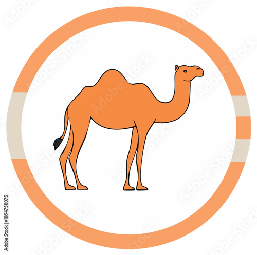 Orange camel animal within an orange and white circle design graphic illustration