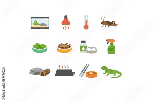 Collection of flat icons representing reptile care and habitat essentials