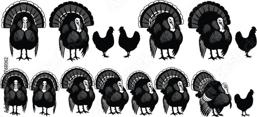 Vintage turkey and chicken silhouettes set, farm poultry birds collection in engraved style, rural agriculture illustration isolated on white background