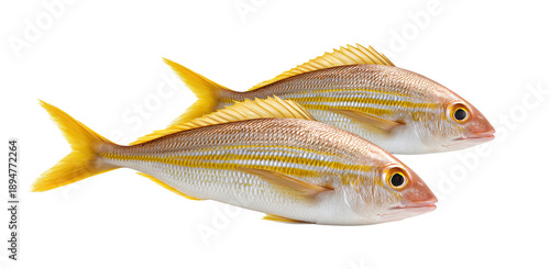 Two Yellowtail Snapper Fish Close-up of two fresh yellowtail snapper fish with vibrant yellow tails and fins. These fish are a culinary delight, perfect for various cooking methods.