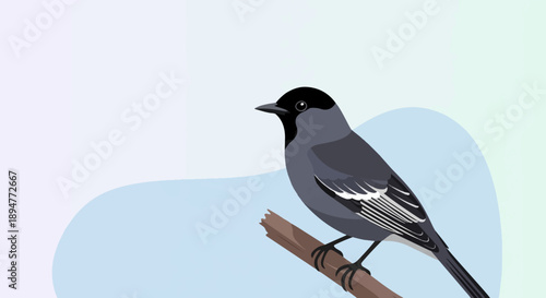 A gray bird with a black head perches on a brown branch