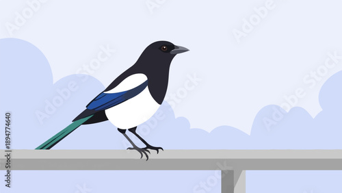 A black and white bird with blue and green accents sits on a ledge