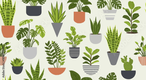 Collection of potted houseplants in various containers.