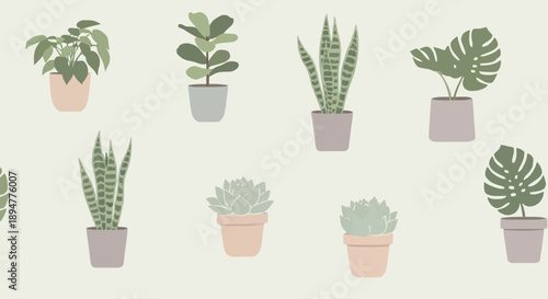 Collection of Potted Houseplants in a Repeating Pattern.