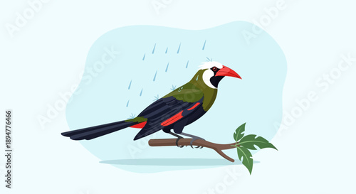 A colorful bird with a red beak perches on a branch during a rain shower
