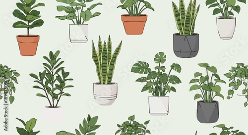 Collection of Potted Houseplants in Various Pots.