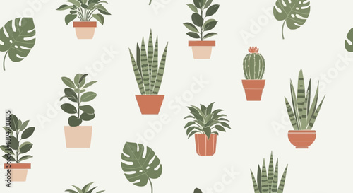 Collection of potted houseplants in various shapes and sizes.