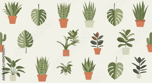 Collection of potted houseplants in various styles.