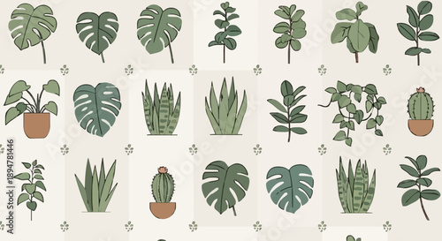 Collection of various potted houseplants and leaves.
