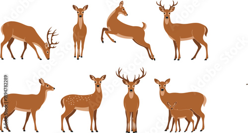 Elegant Deer Illustration Collection  Wildlife and Nature Design Elements