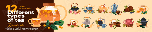 Different types of tea set. Teapots and cups of herbal drinks. Various mugs, infusers, gaiwan and kettle for preparing Chinese beverages with herbs, matcha. Flat isolated vector illustrations