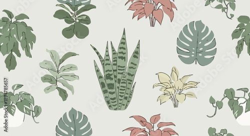 Collection of various potted houseplants in a repeating pattern.