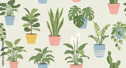 Collection of various potted houseplants in colorful pots.