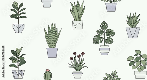 Collection of various potted houseplants in decorative pots.