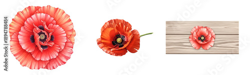 Wallpaper Mural Vibrant Red Poppies Collection Isolated on Transparent Background Torontodigital.ca
