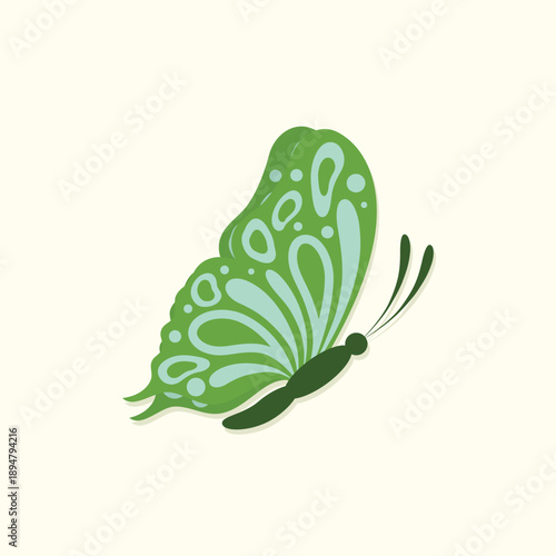 Beautiful green butterfly. Insect vector illustration.