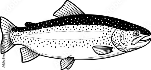 rainbow trout fish engraving black and white outline