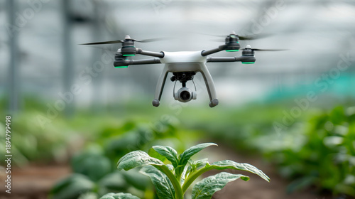 Smart monitoring of young plants in a greenhouse using drones in agriculture, precision farming technologies